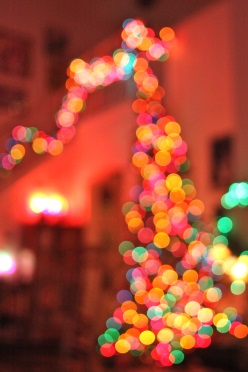 Christmas_Flickr